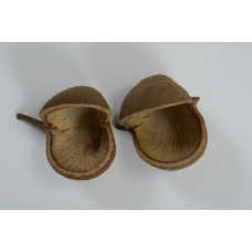 BUDHA NUT Natural
